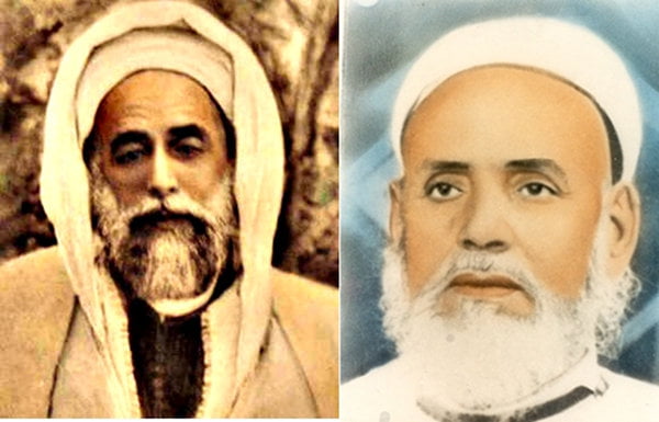 الشيخ العلاوي والشيخ المدني